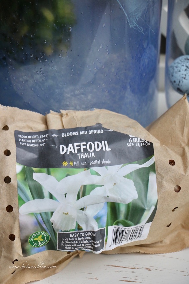 Botanic Bleu French Gardener Gift Guide