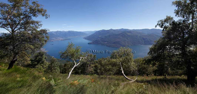 Panorama del lago Maggirore salendo al monte Giove Panorama del lago Maggirore salendo al monte Giove