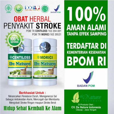 obat herbal stroke