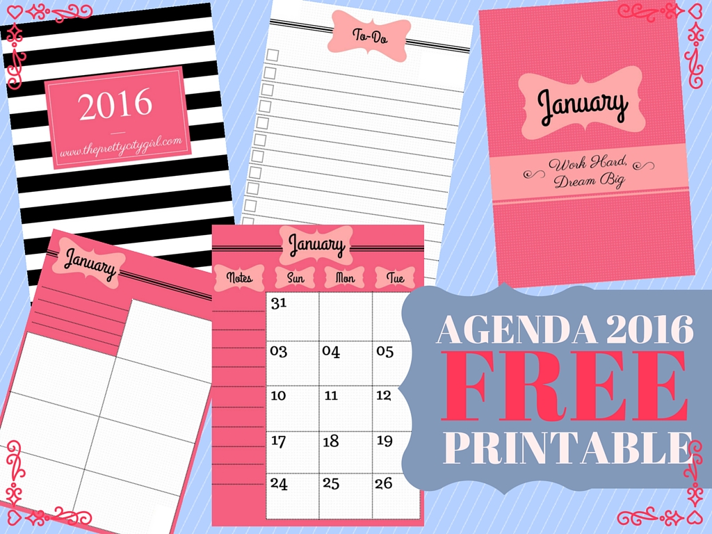 Imperial Hiel passagier Agenda 2016 Free Printable - Pink - The Pretty City Girl | Indian Travel &  Lifestyle Blog