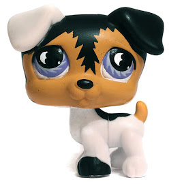 Littlest Pet Shop Pet Pairs Jack Russell (#803) Pet
