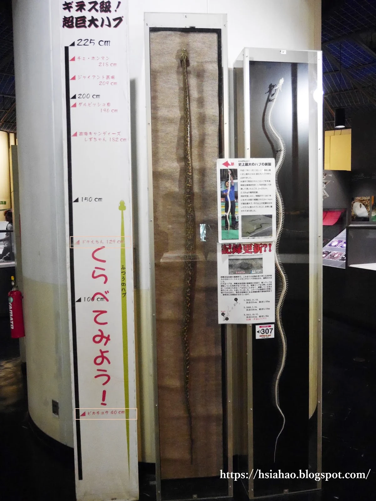 沖繩-景點-推薦-親子景點-家庭-沖繩世界文化王國-毒蛇博物館-自由行-旅遊-Okinawa-world-habu-museum