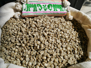 Arabica Yoddoi Doichhang Green Coffee Beans.