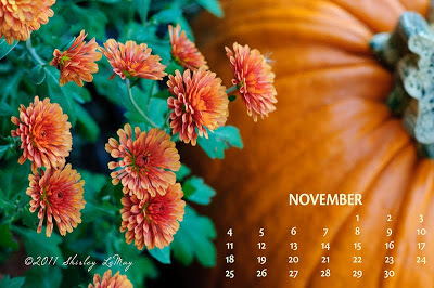 shirley - behind the lens: Free Download - November 2012 Calendar for ...