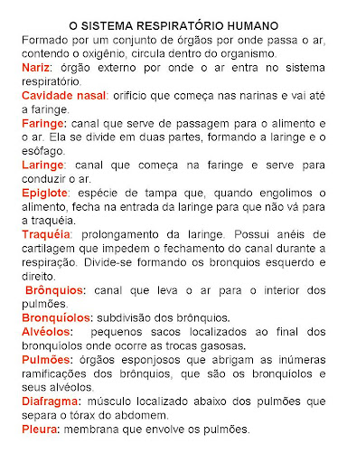 Plano de aula sobre leitura Plano de aula sobre leitura