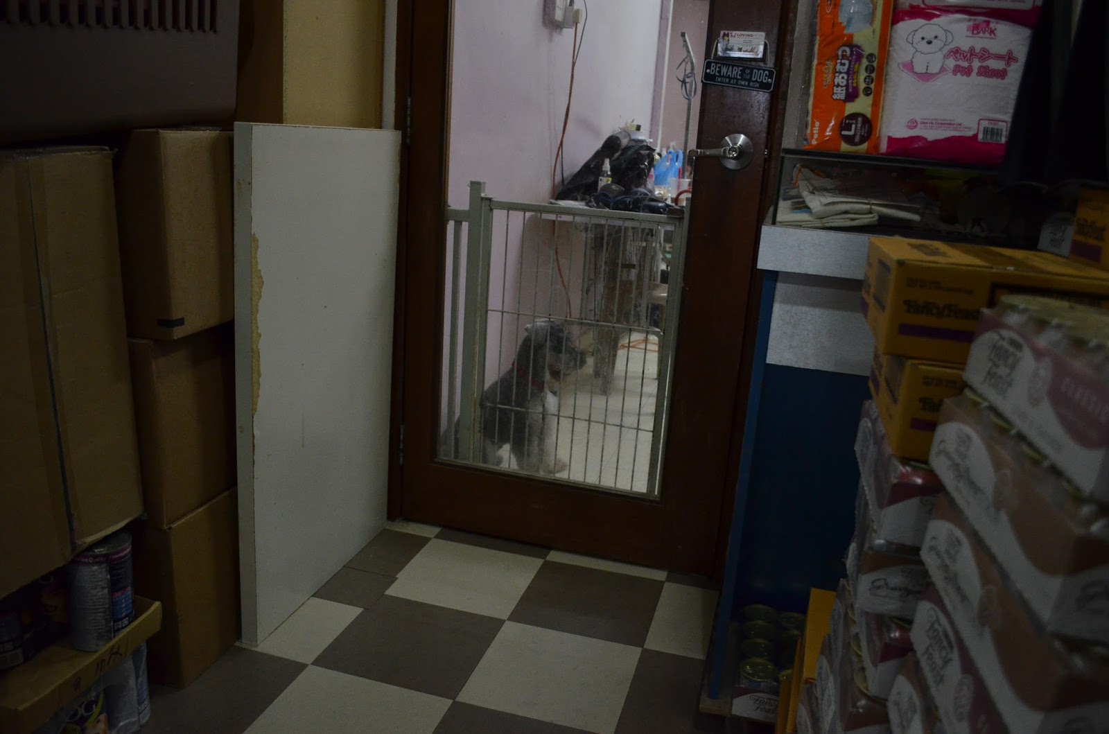 Loving Pets Grooming Shop Review