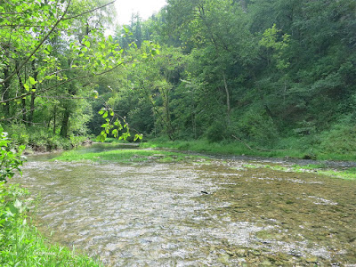 Minnesota stream Minnesota stream