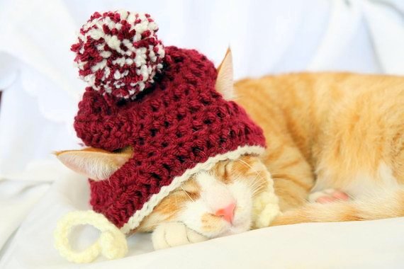 pet christmas hat Crochet pattern