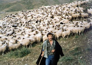 Μπλοκάρονται πληρωμές αποζημιώσεων σε κτηνοτρόφους της Θεσσαλίας