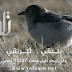 تردد قناة تلاقي على النايل سات 2020 تردد قناة تلاقي على النايل سات 2020