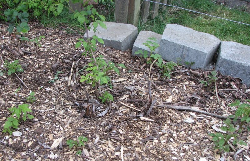 Modern Crafter: Turning Dirt