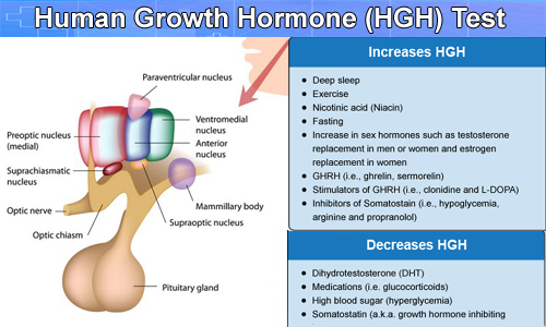 Amino acids for hgh stimulation