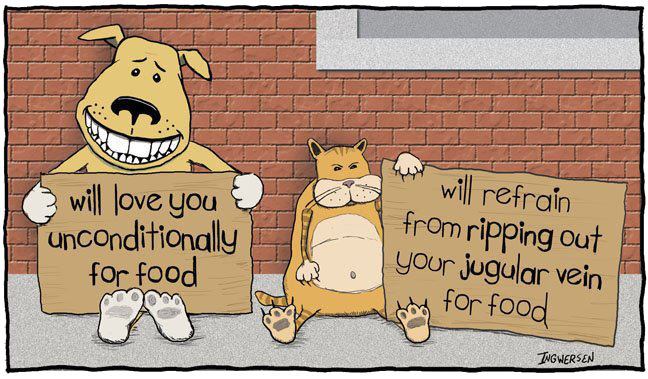 http://4.bp.blogspot.com/-itfdMLFnSJ4/UR6IabuRsDI/AAAAAAAAImE/-8sqXrhAw0s/s1600/funny-dog-cat-cartoon.jpg
