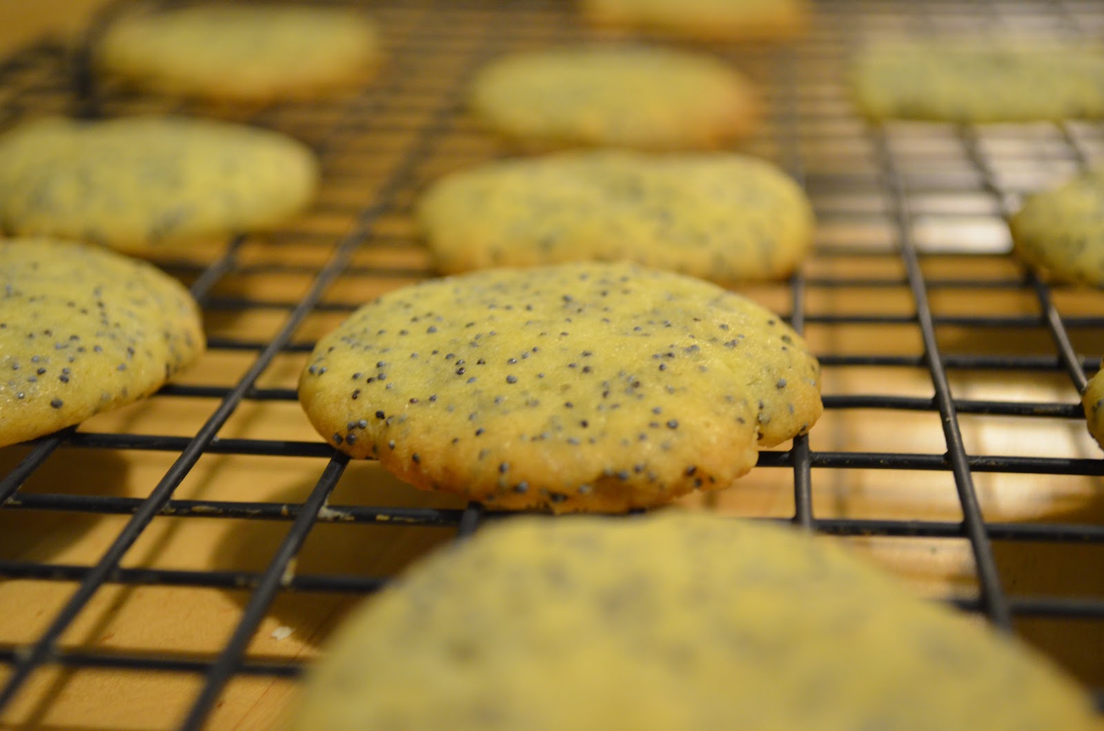 Kitschn Calamities Poppy Seed Cookies