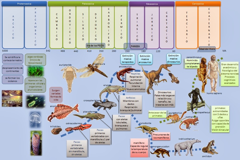 Ejercicio De Eras Geologicas De La Tierra Images