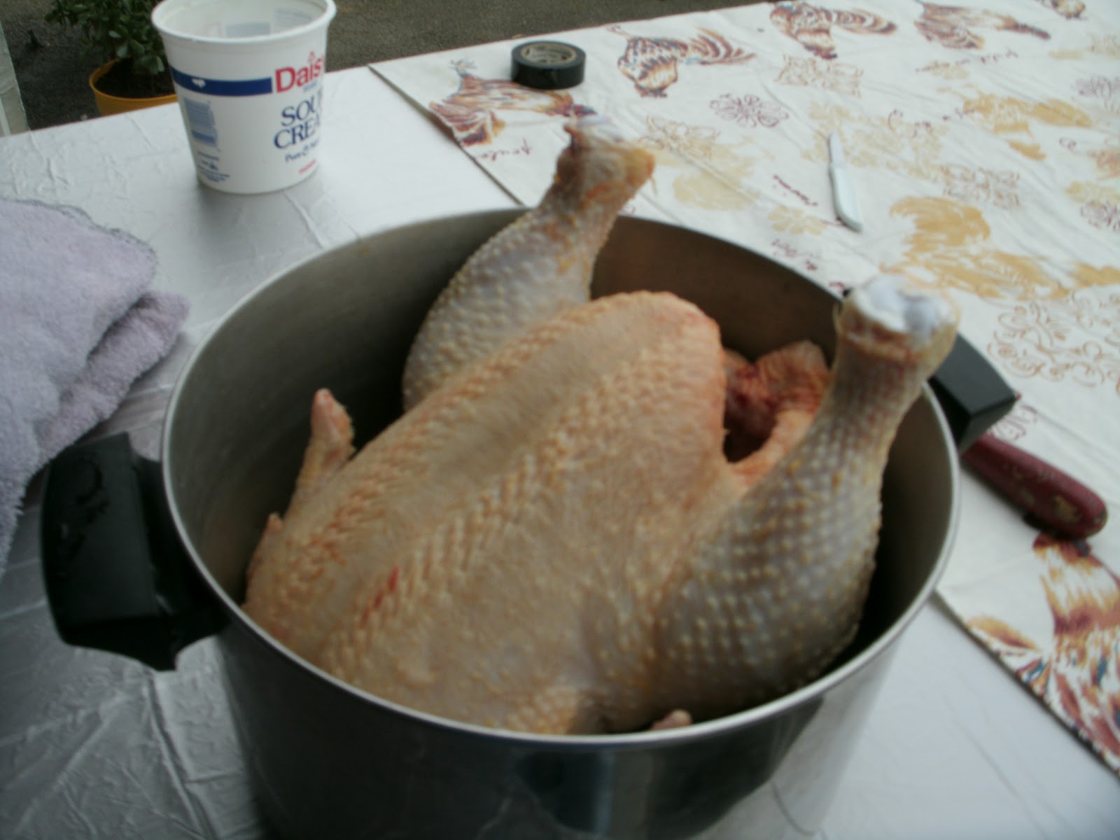 Corn Allergy Aid Processing Cornish Cross Chickens