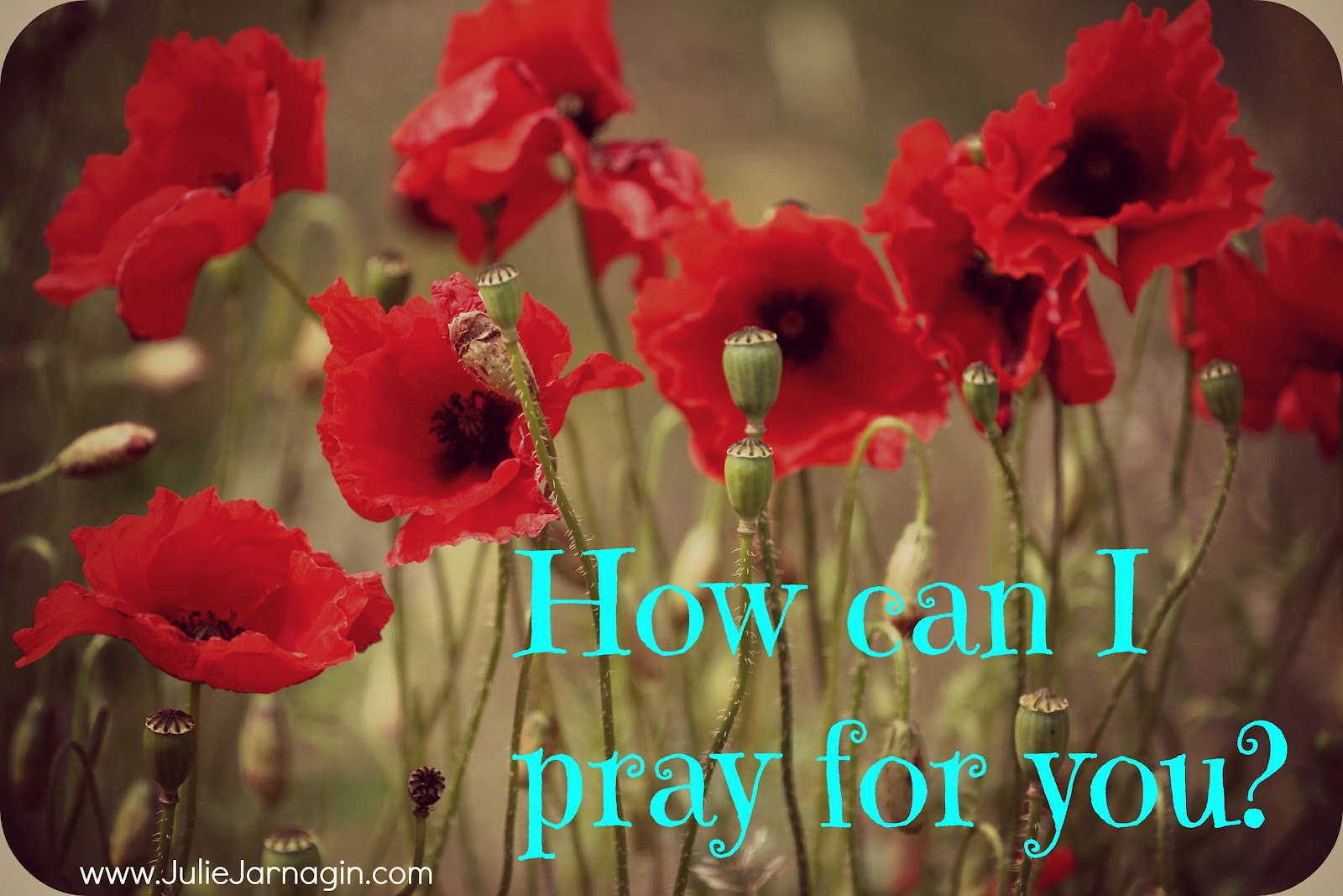 Julie Jarnagin How Can I Pray For You 