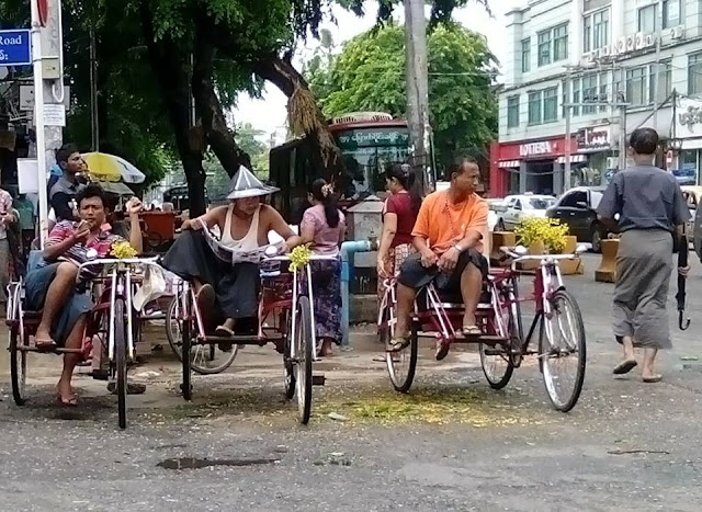ညြန္႔ေထြး – ရန္ကုန္ၿမိဳ႕ ပိေတာက္ပြင့္သည့္ေန႔