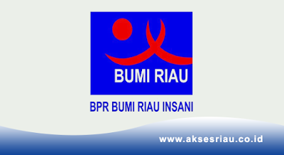 PT BPR Bumi Riau Insani Pekanbaru