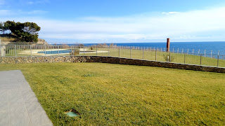 cervo cervo