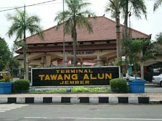 AGEN FOREDI JEMBER JAMU TRADISIONAL KUAT DAN TAHAN LAMA