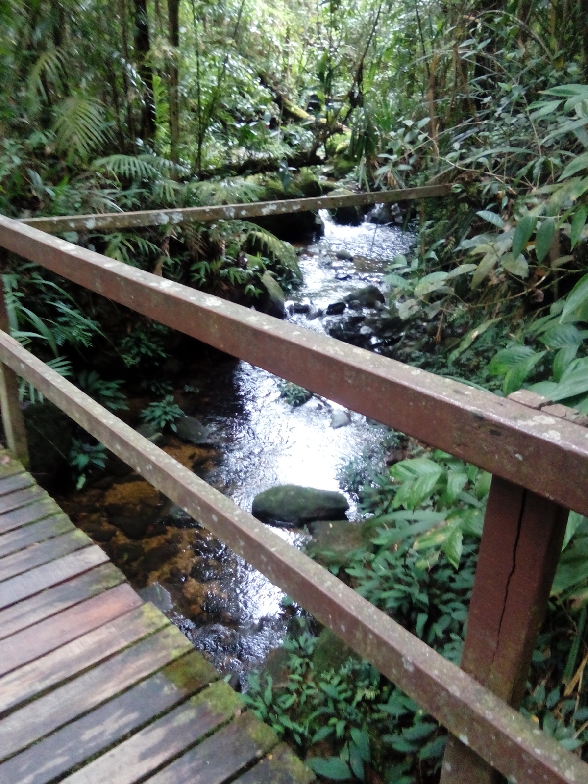 JALAN JALAN, MAKAN ANGIN jalan jalan ke Kota Kinabalu Sabah (part 3)