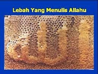 Bukti Keberadaan Allah swt Bukti Keberadaan Allah swt bangmazied