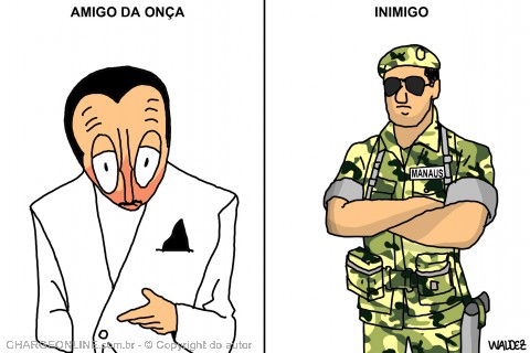 AUTO_waldez4.jpg (480×320)