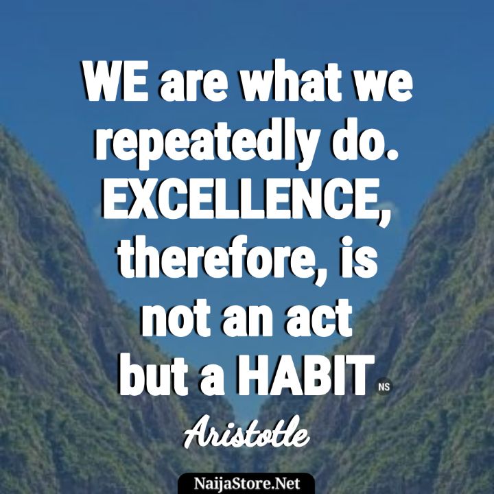 Aristotle's Quote WE are what we repeatedly do. EXCELLENCE, therefore, is not an act but a HABIT - Motivational Quotes