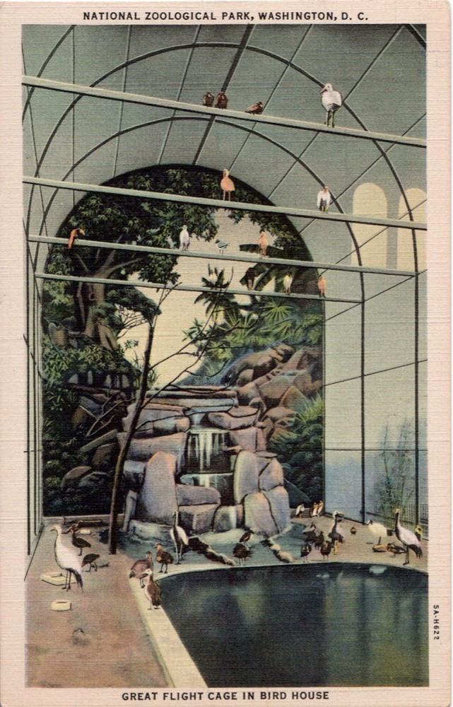 The Circus "NO SPIN ZONE" Vintage National ZooWashington, D. C.