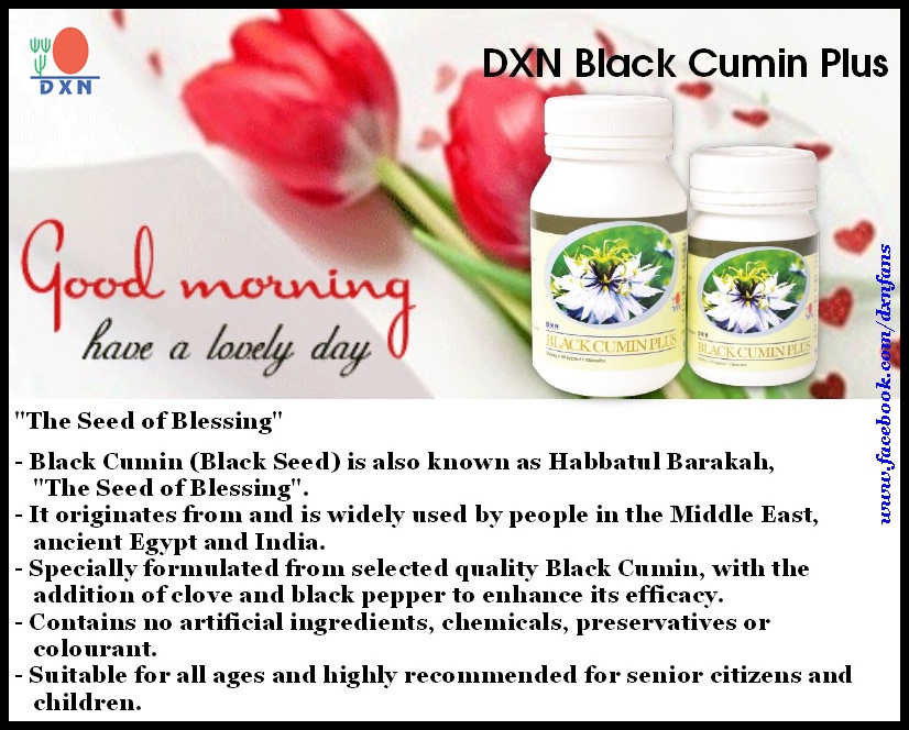 to the DXN Fans Blog