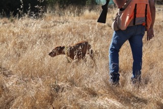 Training in the field