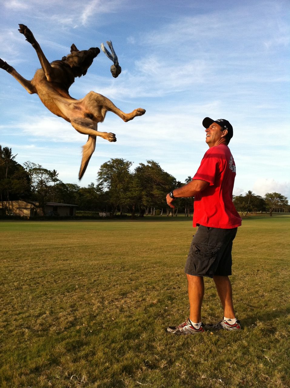 Dog Training Tips Puppy Training Classes and Videos Dog Training And