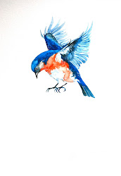 bluebird bird flight painting flying drawing watercolor paintings trees drawings mountain paintingvalley