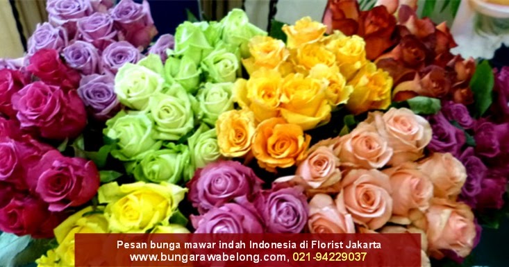 HP/WA 0852-1339-5758 Florist Warwarbomi Raja Ampat Alamat Toko Florist ...