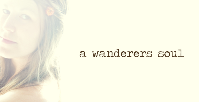 A Wanderers Soul