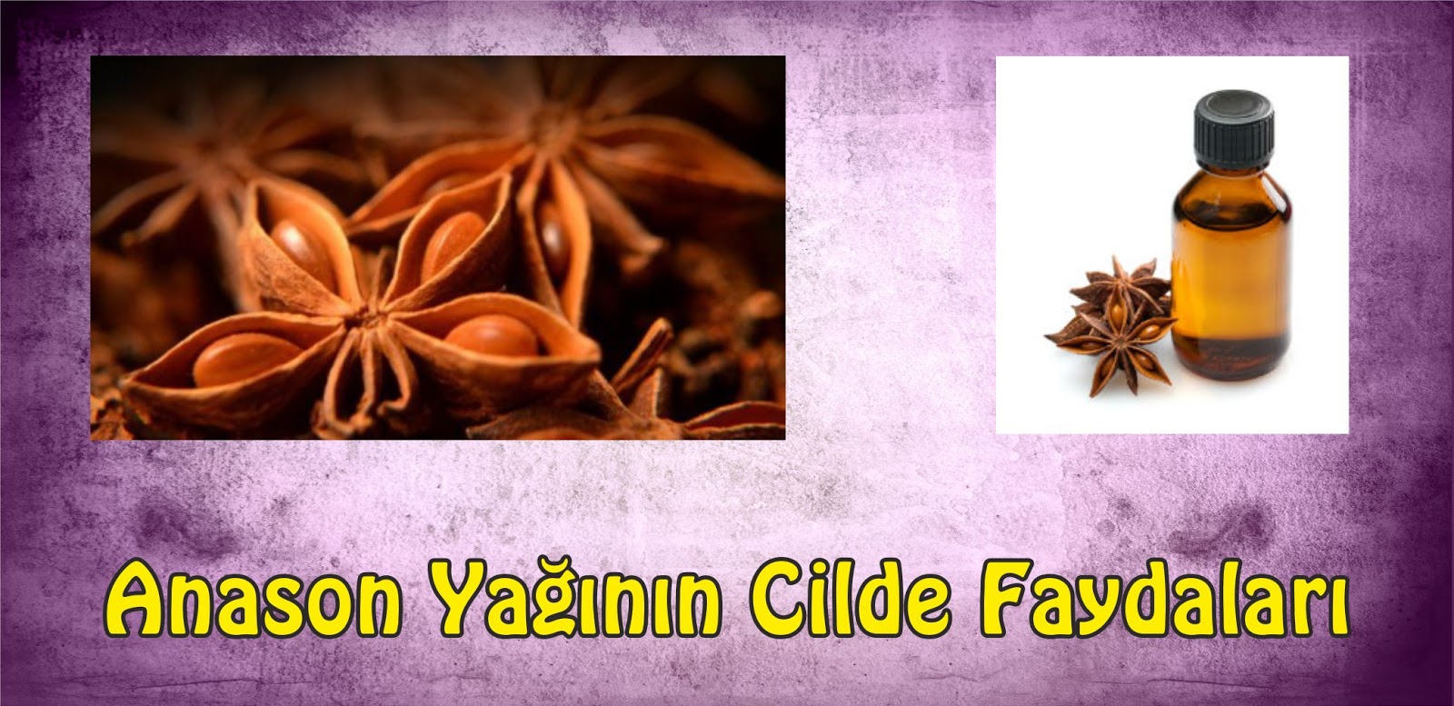 Anason Neye İyi Gelir Anason Neye İyi Gelir
