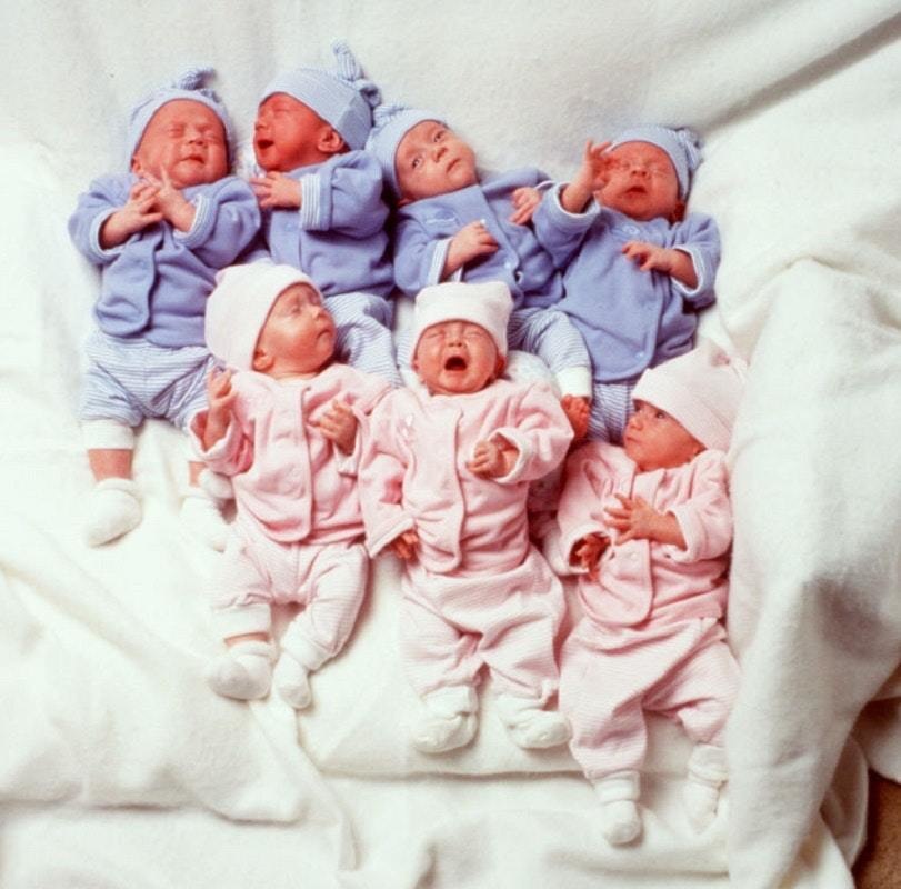 seven new lives