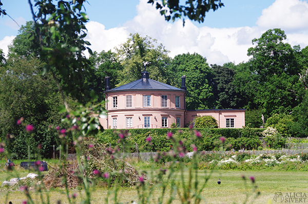 Rosendals trädgård, Djurgården, Stockholm. Photo by Alicia Sivertsson.