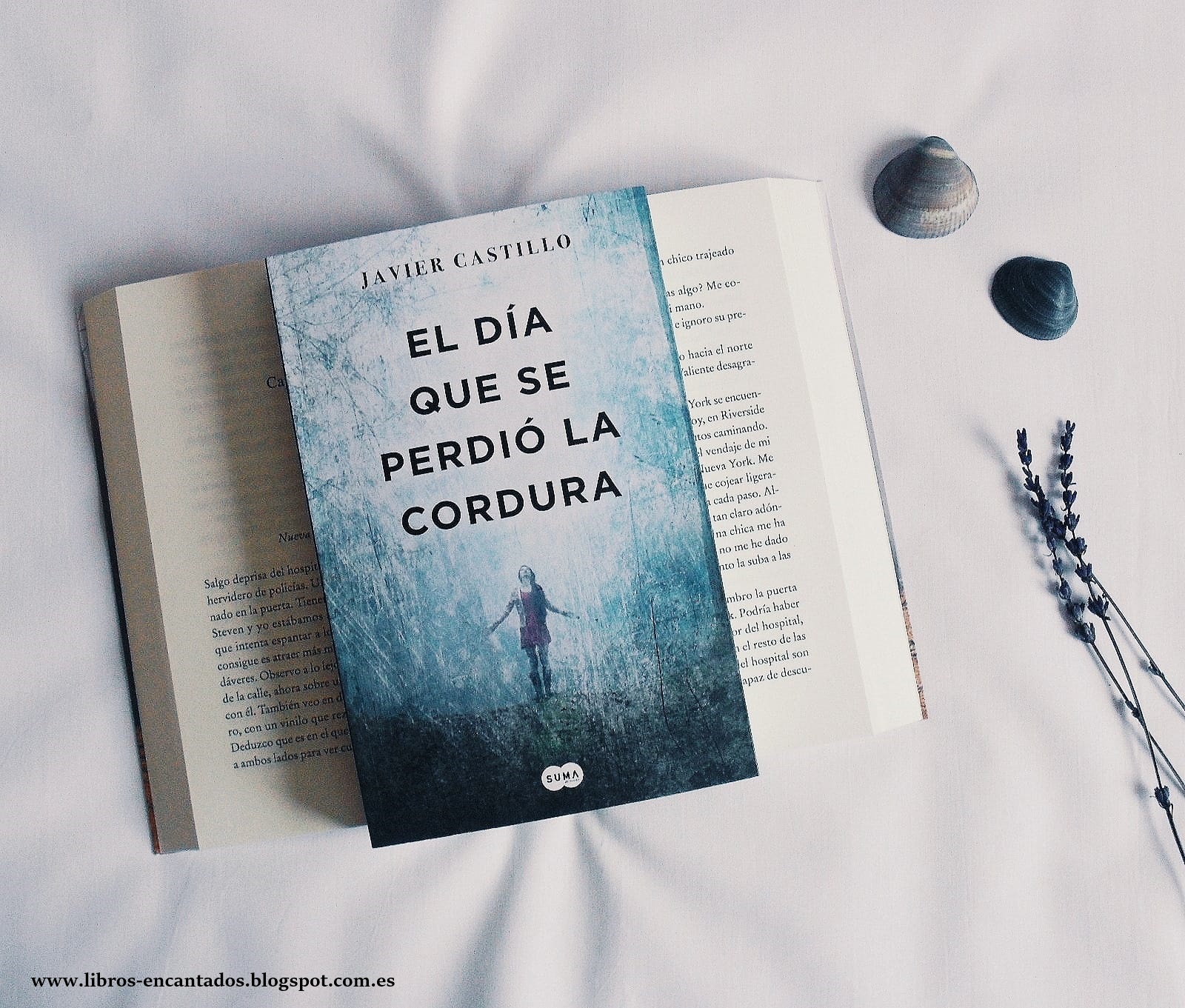 Libros Encantados Resena El Dia Que Se Perdio La Cordura De Javier Castillo