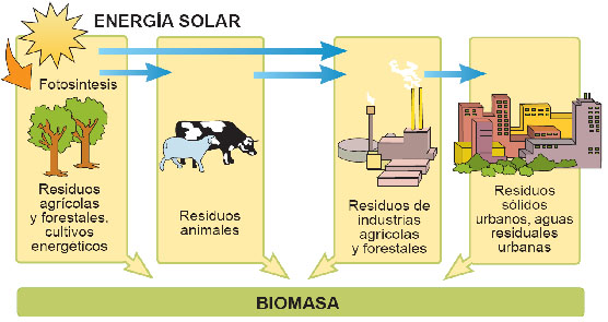 proyectos de energia biomasa