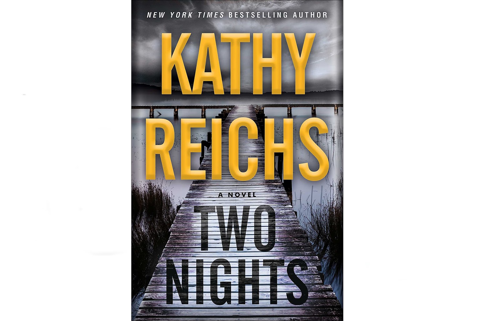  POINTS OF VIEW _______________ KATHY REICHS HER NEW BOOK "TWO NIGHTS"