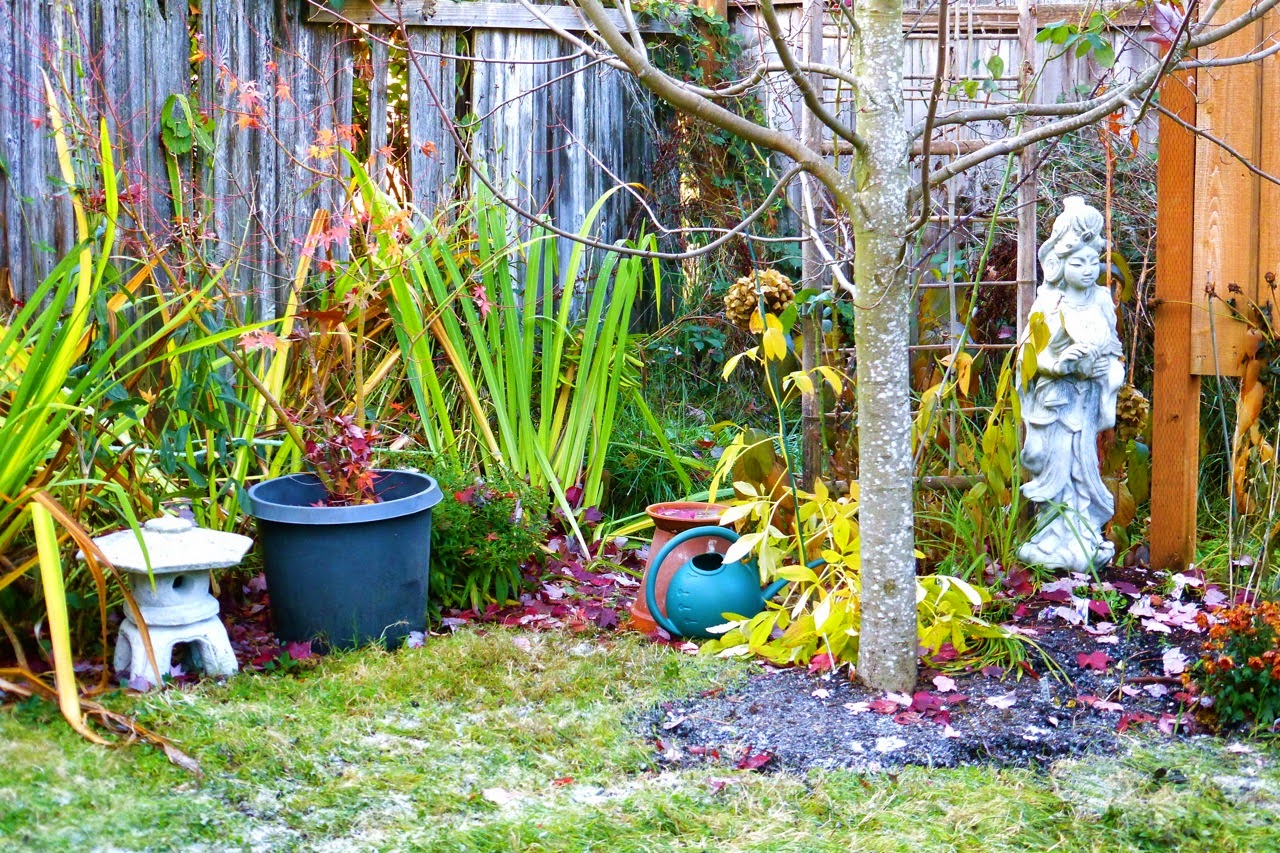 Kwan Yin Corner, First Autumn Frost Eugene, oregon, garden, quan yin, stone temple lantern, japanese maple, fall