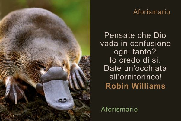 Aforismario Aforismi Frasi E Citazioni Sull Ornitorinco