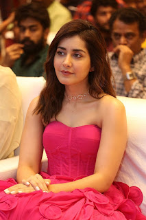 Actress Raashi Khanna Stills At Prati Roju Pandage Pre Release Event Actress Raashi Khanna Stills At Prati Roju Pandage Pre Release Event