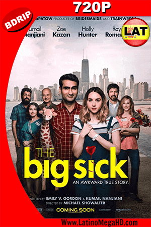 The Big Sick (2017) Latino HD BDRip 720p ()