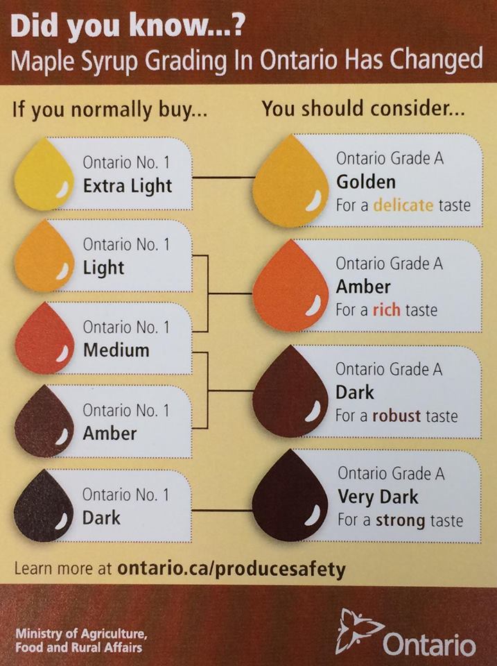 Sugar Maple New Grading System for Maple Syrup