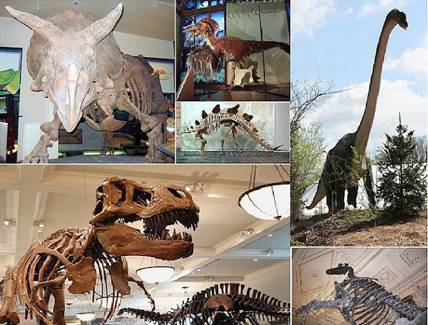 الديناصورات أو الدناصير