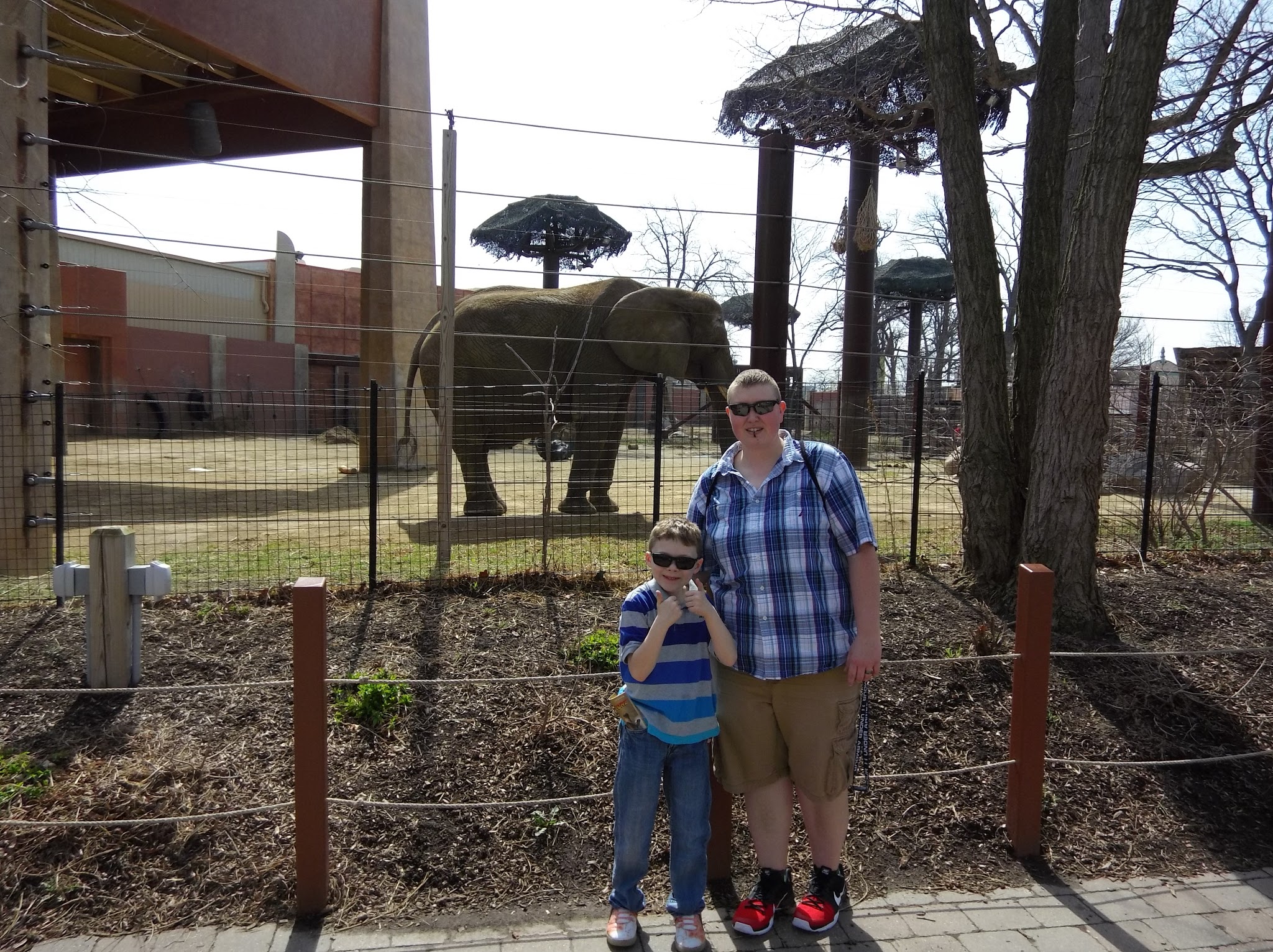 Reasons to visit the Toledo Zoo