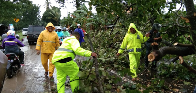 Personil Polres Takalar Bersama Masyarakat Bersihkan Pohon tumbang yang Menutupi badan Jalan